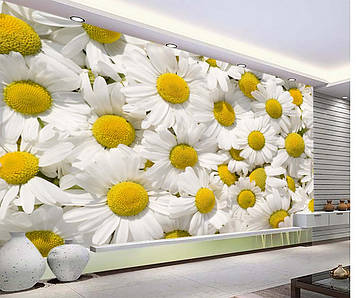 Фото Шпалери "Квіти ромашок" - Будь-який розмір! Читаємо опис!