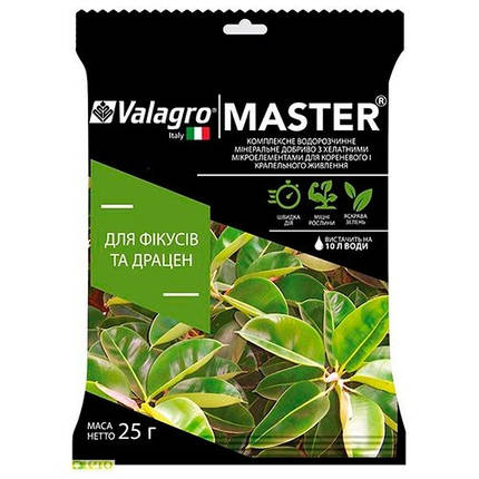 Добриво Master (Майстер) для фікусів і драцен, 250 г, фото 1