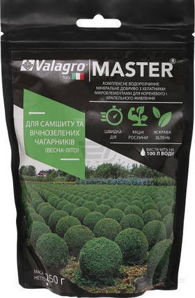Добриво Master (Мастер) для самшиту і вічнозелених чагарників, (весна-літо) 250 г, фото 2