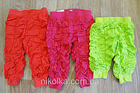 Бриджі для дівчаток оптом, Grace, 98-128 рр., арт. G40662, фото 5