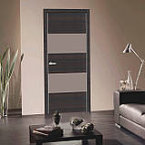 Двері міжкімнатні Cortex Alumo 04 graphite wenge line, фото 2