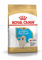 Royal Canin Golden Retriever Puppy (Роял Канин Золотистый Ретривер Паппи) сухой корм для щенков