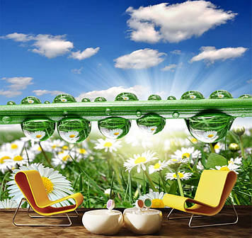 Фото Шпалери "Ромашки і роса" - Будь-який розмір! Читаємо опис!