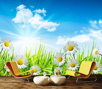 Фото Шпалери "Ромашки в траві" - Будь-який розмір! Читаємо опис!