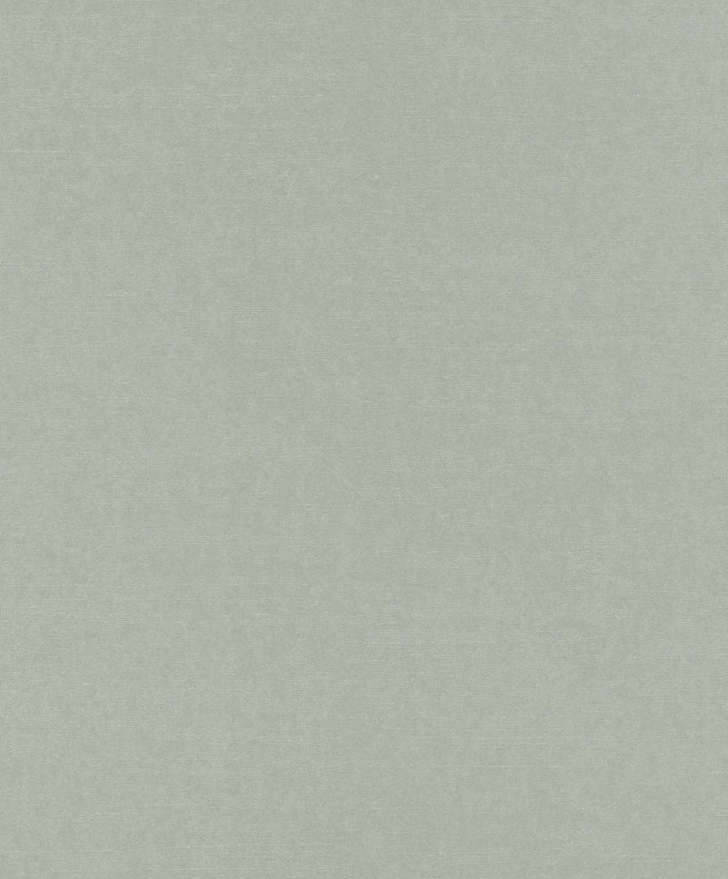 Шпалери Rasch Emil & Hugo Zanzibar 289977
