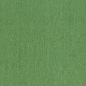 Шпалери Rasch Barbara XL 800562
