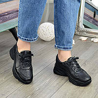 Кроссовки женские кожаные черные на шнуровке, сквозная перфорация