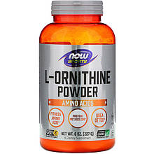 L-Орнітин NOW Foods, Sports "L-Ornithine Pure Powder" чистий порошок (227 г)