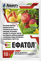 Системный фунгицид Ефатол 10 г, Adiant +