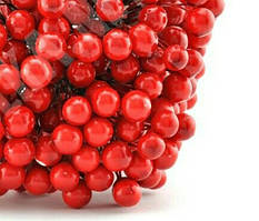 Ягоди, калина