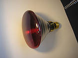Інфрачервоні лампи HELIOS PAR38 175 Вт 230 В (Польща) для обігріву тварин, фото 2