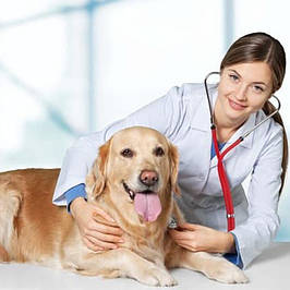 Вакцини для собак