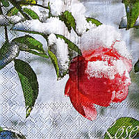 Серветка для декупажу ЦР-123 (25х25см)