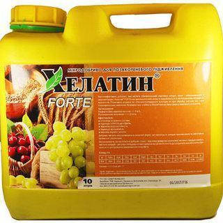 Добриво Хелатин Форте, 10 л, Україна, фото 2