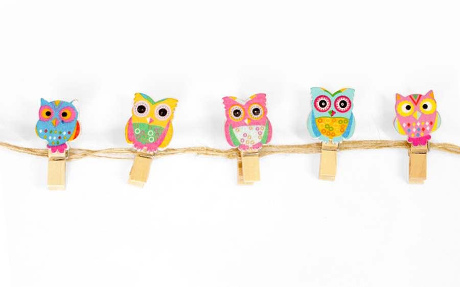Набір прищіпок декоративних з мотузкою Сови 3,5см 10шт ООПТ