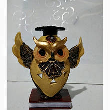 Грошова сова фен - шуй, символ мудрості і добробуту, висота 12 див.