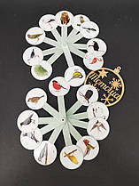 Навчальне віяло: вивчаємо птахів (Козлов), 10 пелюсток, пластиковий віяло