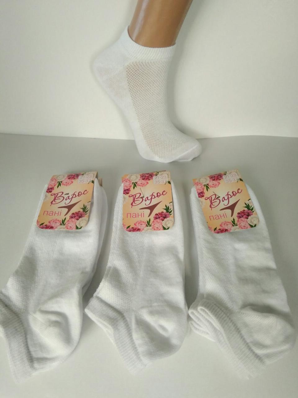 Жіночі шкарпетки класичні стрейч (Літні/сітка) 21-23 р. Варос