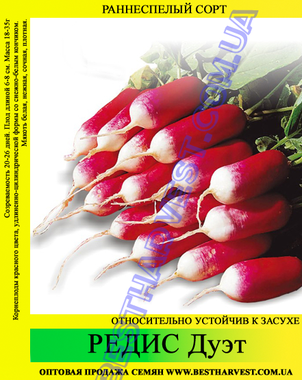 Насіння редиски «Дует» 25 кг (мішок)