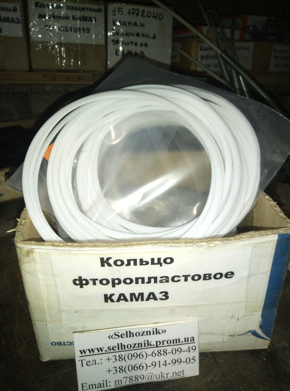 Кольцо фторопластовое КАМАЗ, цена 18 грн — Prom.ua (ID#1169528426)