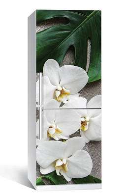 Самоклеюча наклейка для холодильника Листя монстери 60x180 см, декор холодильника плівкою