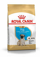 Royal Canin Pug Puppy (Роял Канин Мопс Паппи) сухой корм для щенков 1.5 кг.