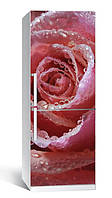 65х200 см Наклейка на холодильник, обои для холодильника, пленка для оклейки кухни Нежная роза, самоклейка