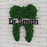 Декоративний зуб з моху на стіну. логотип стоматології, назва стоматології чи ім'я лікаря від 30 см до 1 м, фото 2