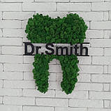 Декоративний зуб з моху на стіну. логотип стоматології, назва стоматології чи ім'я лікаря від 30 см до 1 м, фото 3