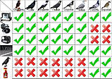 Пластикові шипи від птахів і тварин 0,5 м*3 см Чорний, фото 7