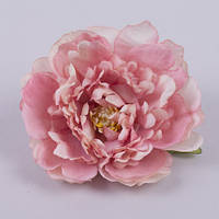Головка півонії "покручена" рожева пастель