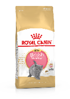 Royal Canin British Shorthair Kitten (Роял Канин Киттен британская короткошерстная) сухой корм для котят 2 кг.