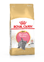 Royal Canin British Shorthair Kitten (Роял Канін Кіттен британська короткошерста) сухий корм для кошенят