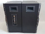 Акустична система Ailiang UF-7710-DT (USB/FM/Пульт/Bluetooth) Пара, фото 4