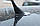 Ущільнювальна гумка антени 1J0035350E Audi Volvo VW Seat Skoda Mazda Toyota, фото 4