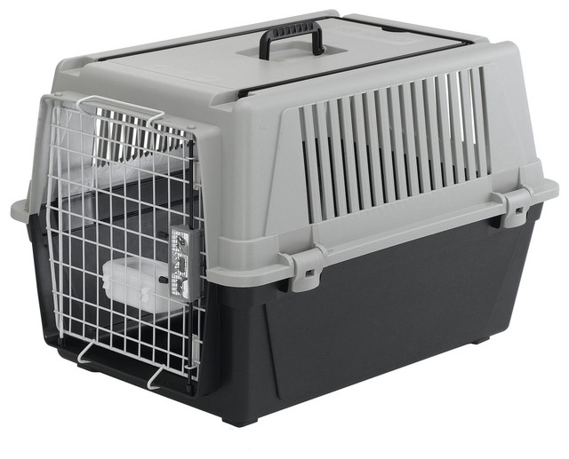 Купить Переноска для средних собак и крупных пород кошек Ferplast ...