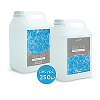 Средство для дезинфекции воды в бассейне и удаления водорослей Silver Life, 2*5 л СВ40