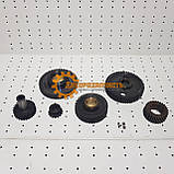 Шестерні ГРМ ЮМЗ Д65 газорозподілу калені, фото 2