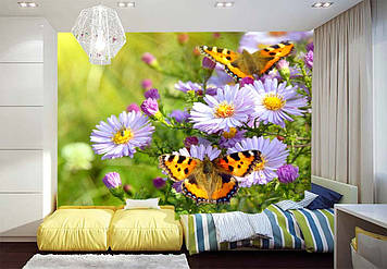 Фото Шпалери "Метелики і рожеві ромашки" - Будь-який розмір! Читаємо опис!
