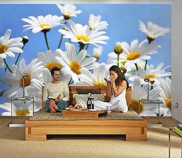 Фото Шпалери "Білі ромашки 1" - Будь-який розмір! Читаємо опис!