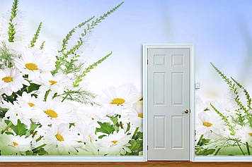 Фото Шпалери "Білі ромашки 2" - Будь-який розмір! Читаємо опис!