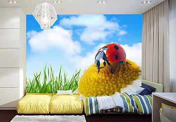 Фото Шпалери "Божа корівка на ромашці" - Будь-який розмір! Читаємо опис!