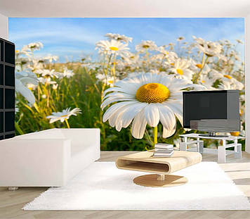 Фото Шпалери "Велика ромашка" - Будь-який розмір! Читаємо опис!