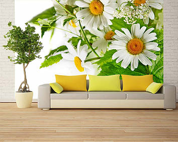 Фото Шпалери "Букет з ромашок" - Будь-який розмір! Читаємо опис!