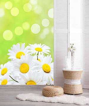 Фото Шпалери "Букет ромашок на салатовому" - Будь-який розмір! Читаємо опис!