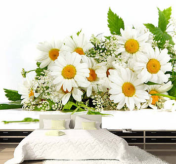 Фото Шпалери "Букет ромашок" - Будь-який розмір! Читаємо опис!