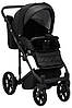 Коляска 2 в 1 Adamex Amelia Tip AM238, фото 8