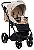 Коляска 2 в 1 Adamex Amelia Tip AM243, фото 8