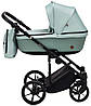 Коляска 2 в 1 Adamex Amelia Tip AM260, фото 4