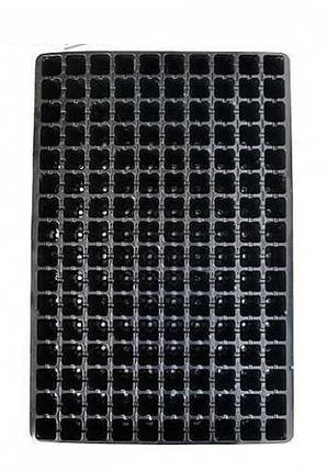 Касета для розсади 600*400, 160 клітинок, 600 Мкр, фото 2